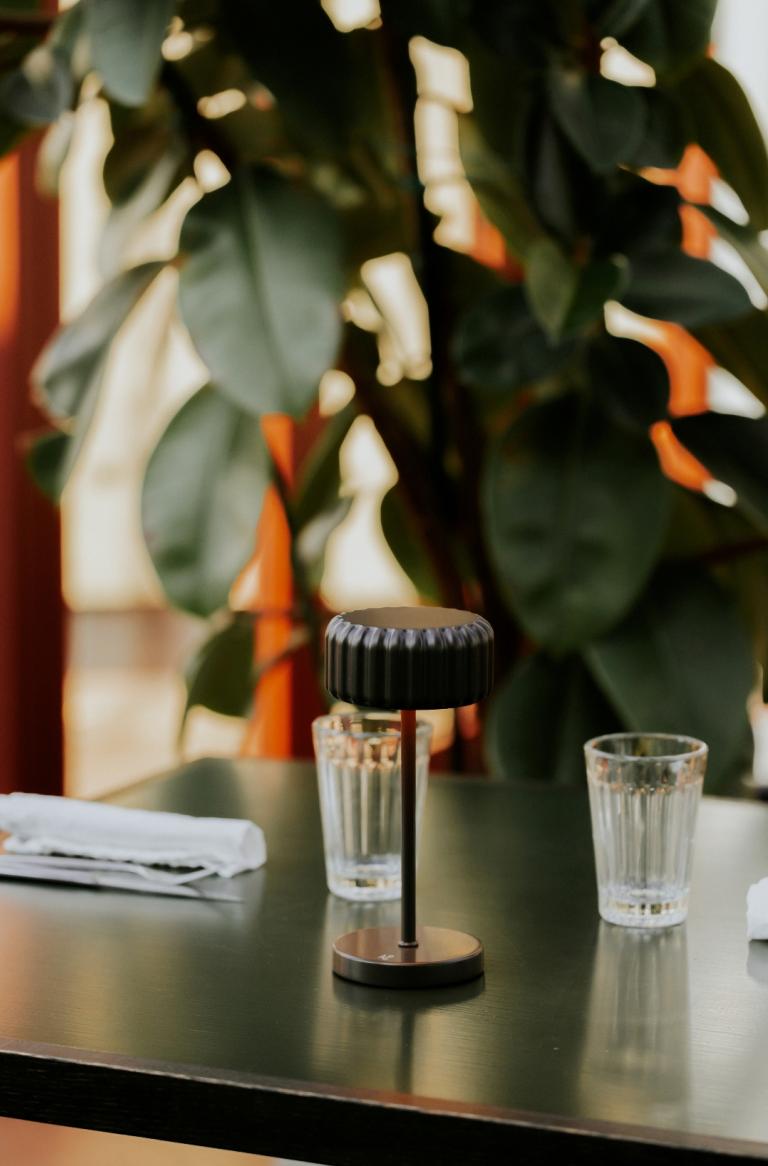 Dentelles Mini Bistro (recharge) 20cm-Earth