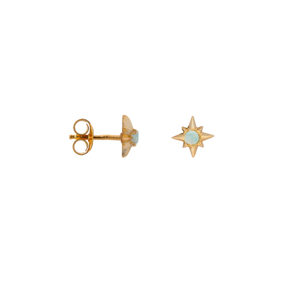 Studs Shiny Starfish-gold