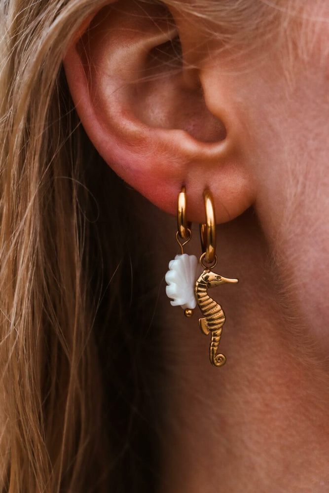 
                      
                        Oorbel Single Hoop Shelly-gold
                      
                    