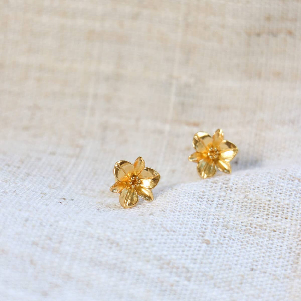 
                      
                        Studs Big Flower-gold
                      
                    