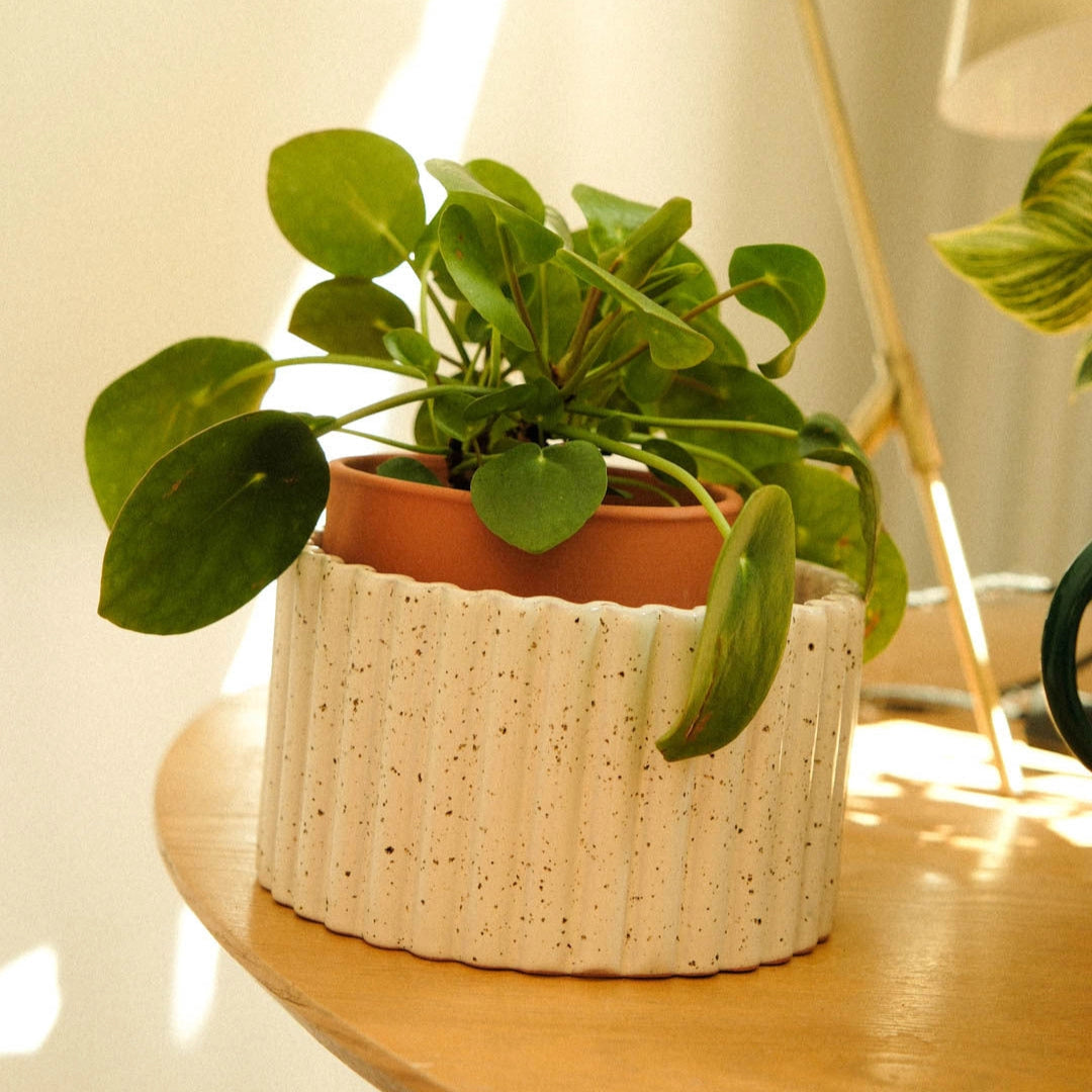 Pepin Bloempot Paula Plantsitter (M)-speckled white