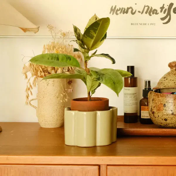 Pepin Bloempot Paulita Plantsitter (S)-sage green