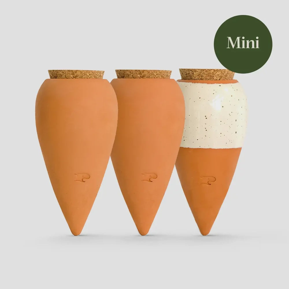 Pepin Box Trio Mini Ollas-the Iconics
