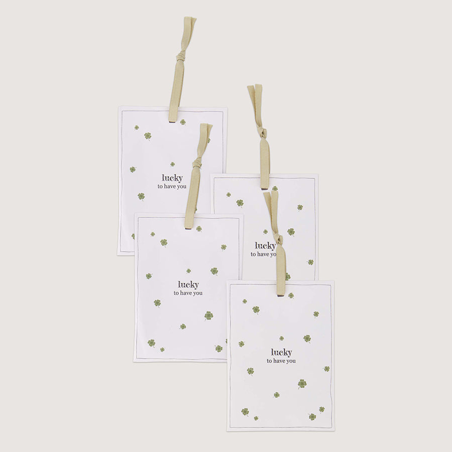 Geurzakjes 'Lucky to have you' (set van 4)-white/green